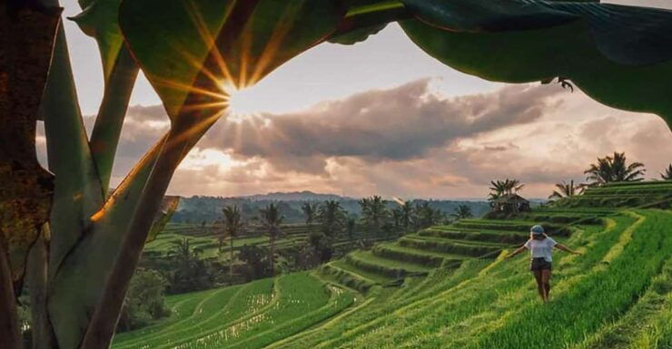 Bali: Jatiluwih Rice Terrace Sunrise Trekking With Breakfast - Good To Know