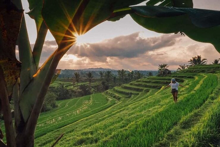Bali: Jatiluwih Rice Terrace Sunrise Trekking With Breakfast - Sunrise Trekking Experience at Jatiluwih