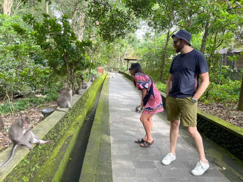Bali: Jatiluwih Rice Terrace, Temple & Hot Springs Day Trip - Final Thoughts: Is This Tour Worth It?