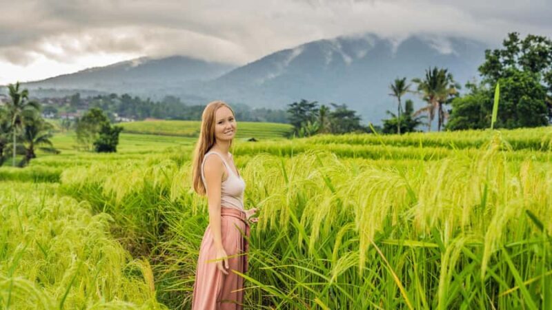 Bali: Jatiluwih Rice Terraces Sunrise guided Walking Tour - Practical Details and Why They Matter