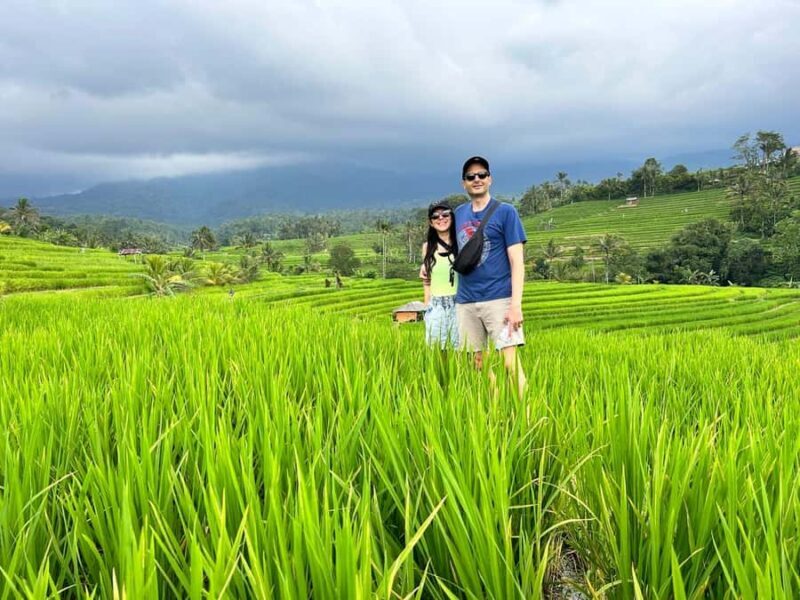 Bali: Jatiluwih Rice Terraces Walking Tour And Tanah Lot - Practical Details and Tips
