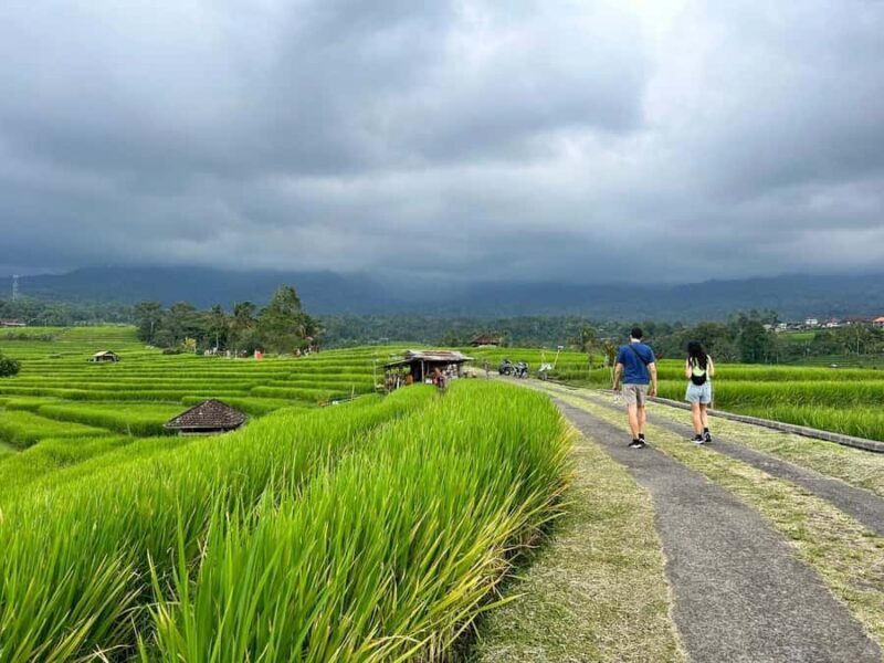 Bali: Jatiluwih Rice Terraces Walking Tour And Tanah Lot - Value and Overall Impressions