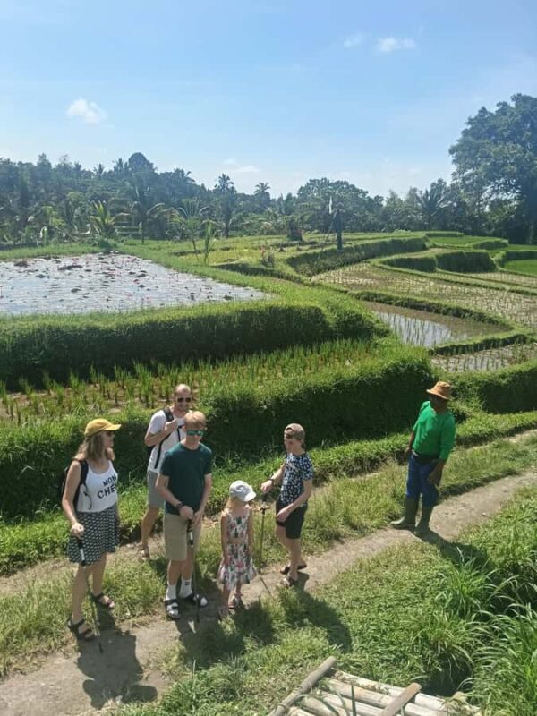 Bali: Jatiluwih Trek via Senganan Village with local guide - Who Is This Tour Best For?