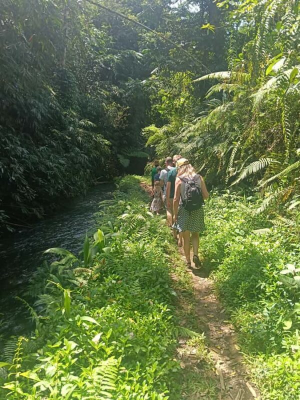 Bali: Jatiluwih Trek via Senganan Village with local guide - FAQ