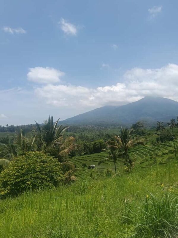 Bali: Jatiluwih Trek via Senganan Village  with local guide - Authenticity and Local Insights