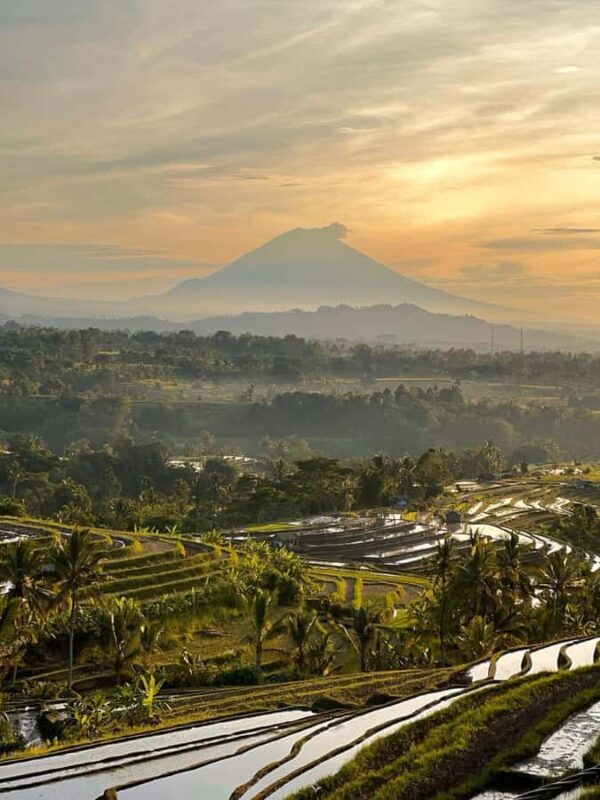 Bali: Jatiluwih UNESCO, Bratan Lake, Iconic Gate & Tanah Lot - Who Is This Tour Best For?