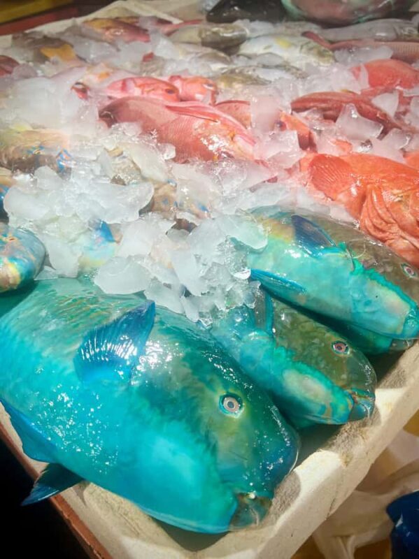 Bali: Jimbaran Fish Market Tour with Fresh Seafood Tasting - FAQs