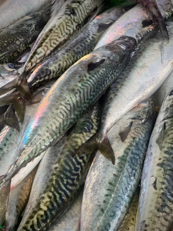 Bali: Jimbaran Fish Market Tour with Fresh Seafood Tasting - The Sum Up: Who Is This Tour Best For?