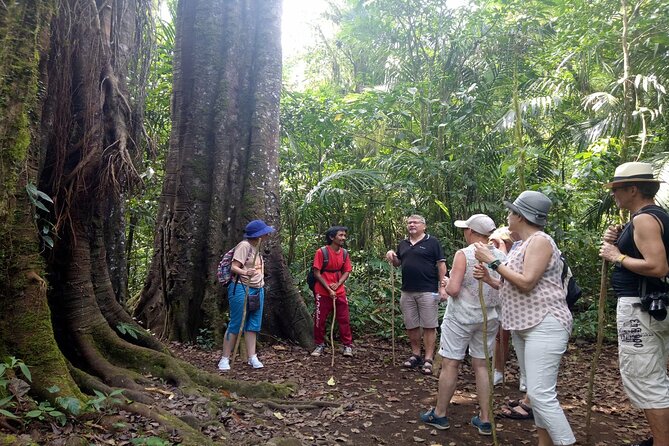 Bali Jungle Escapade: Rainforest and Waterfall Trekking - Good To Know