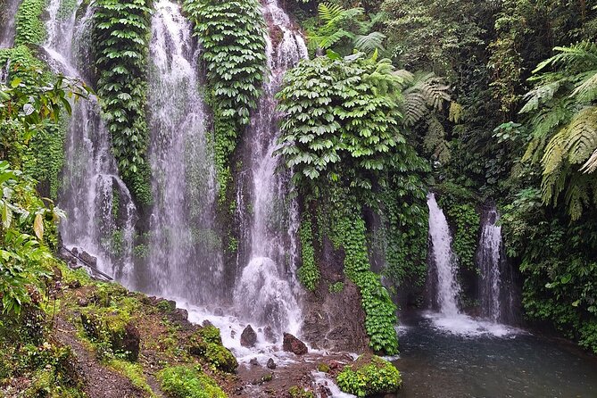 Bali Jungle Escapade: Rainforest and Waterfall Trekking - Safety Tips