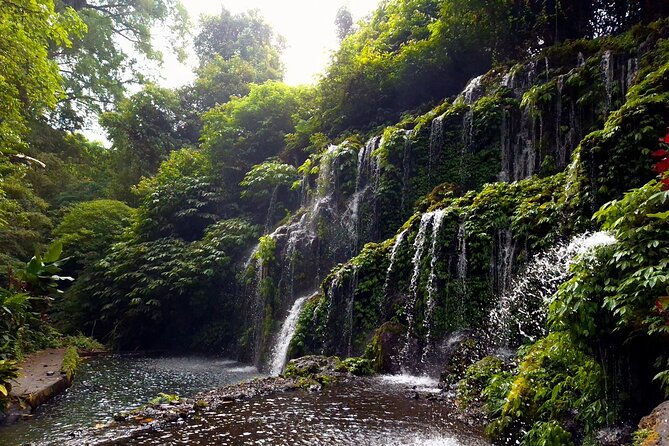 Bali Jungle Escapade: Rainforest and Waterfall Trekking - Lunch in the Jungle
