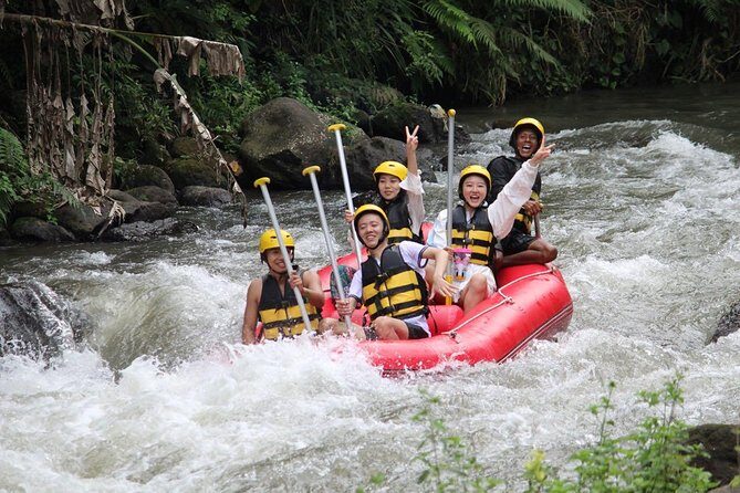 Bali Jungle Swing and White Water Rafting All Inclusive - Final Thoughts