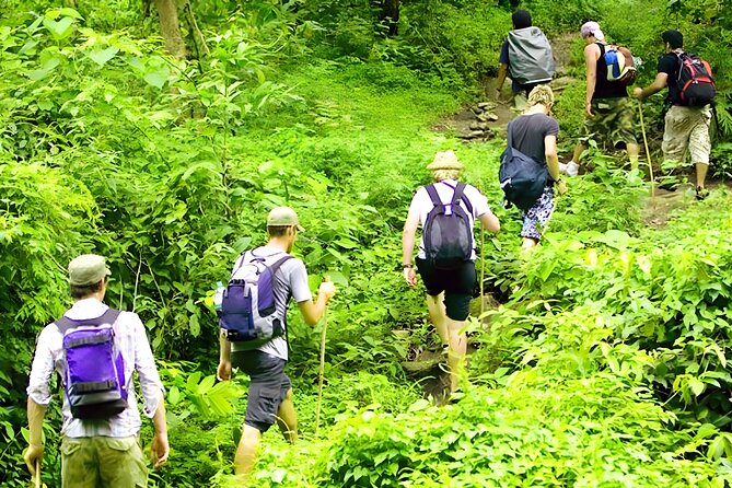Bali Jungle Trekking, Ulun Danu, Jatiluwih and Tanah Lot Tour - Tour Itinerary