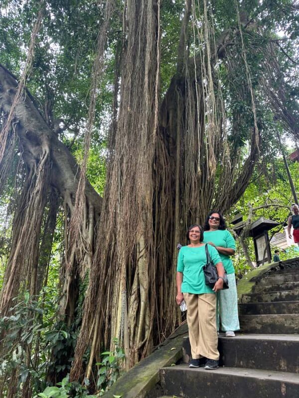 Bali : Jungle Waterfall NUNGNUNG private tour With sunset - Final Thoughts: Is This Tour Right for You?