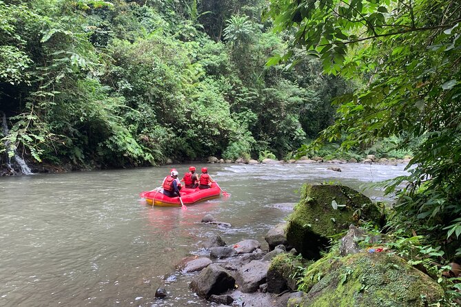 Bali Jungle White Water Rafting Adventure - Pick-up Details