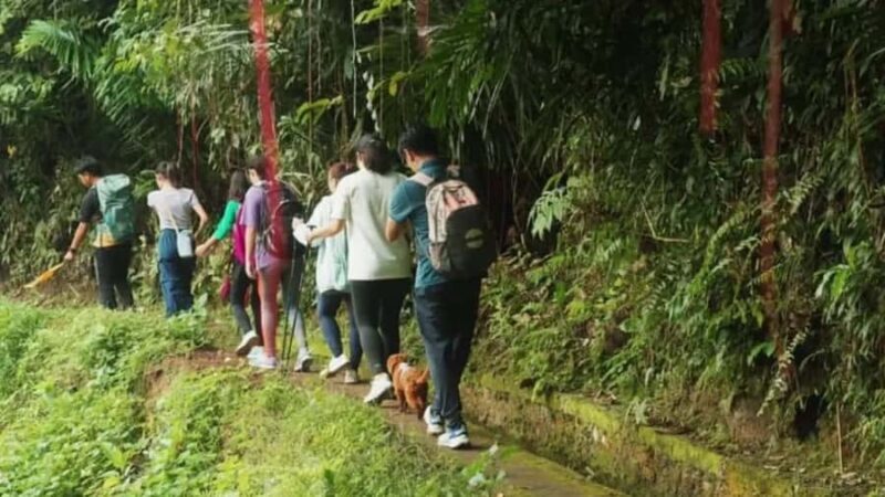 Bali: Kastala Rice Terrace, Tenganan Trekking & Virgin Beach - Good To Know