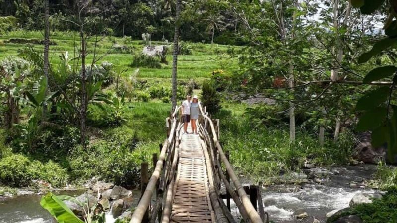 Bali: Kastala Rice Terrace, Tenganan Trekking & Virgin Beach - The Full Experience: What to Expect