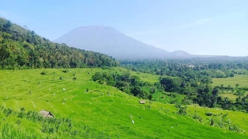 Bali: Kastala Rice Terrace, Tenganan Trekking & Virgin Beach - Costs and Value