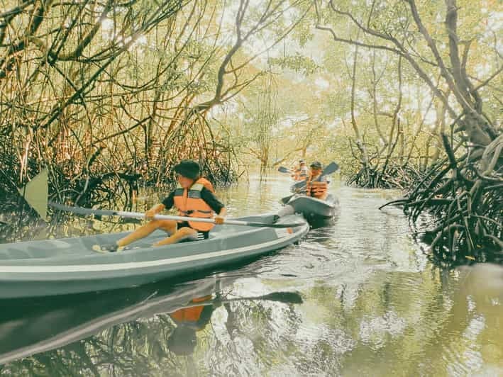 Bali: Kayaking With Mangrove Preserving and Turtle Release - Key Points