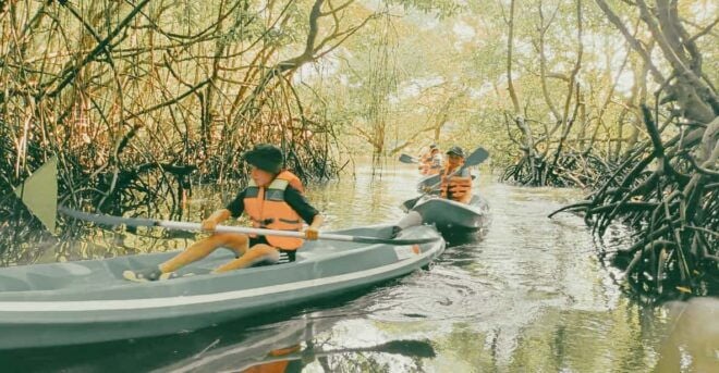 Bali: Kayaking With Mangrove Preserving and Turtle Release - Customer Reviews