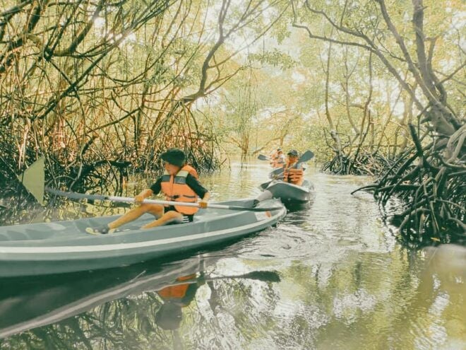 Bali: Kayaking With Mangrove Preserving and Turtle Release - What to Bring