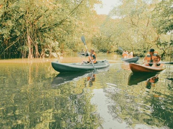 Bali: Kayaking With Mangrove Preserving and Turtle Release - Booking Details