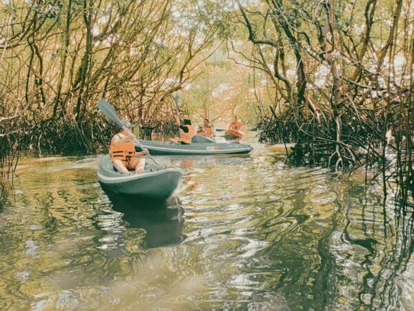 Bali: Kayaking With Mangrove Preserving and Turtle Release - Questions You May Have