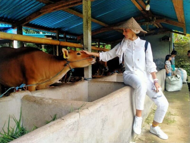 Bali: Kedisan Sustainable Farming and Nature Tour - Good To Know