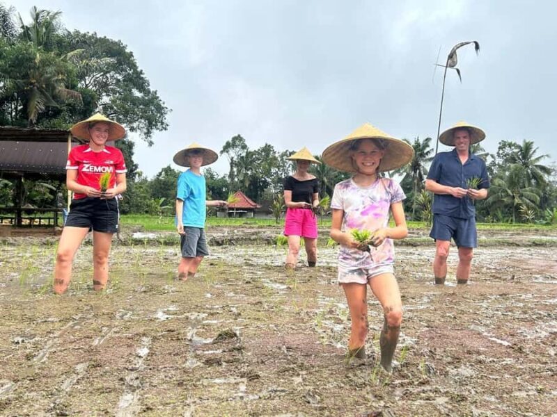 Bali: Kedisan Sustainable Farming and Nature Tour - Detailed Breakdown of the Itinerary