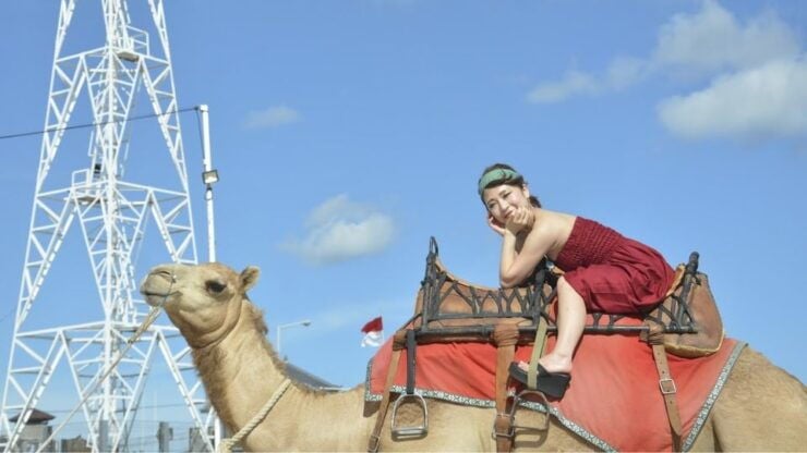 Bali: Kelan Beach Camel Rides Experiences - Activity Details