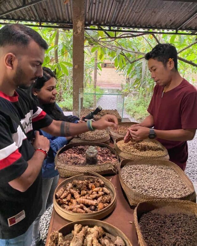 Bali: Kintamani Cafe, Waterfall, Temple and Cretya Ubud Tour - Why Choose This Tour?