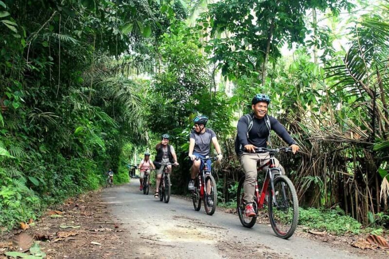 Bali: Kintamani Downhill Bike Tour and Natural Jungle Swim - FAQs