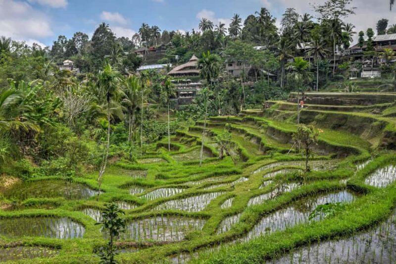 Bali: Kintamani Luxury Private Day Tour with all Tickets - Discover Bali’s Kintamani on a Luxury Private Day Tour
