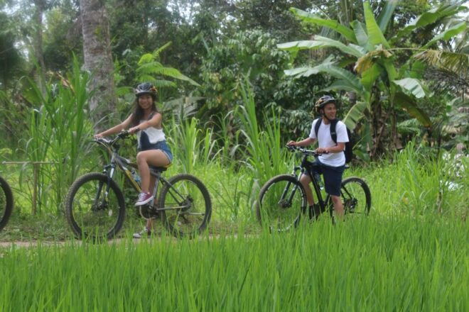 Bali: Kintamani Private Downhill Bike Tour & Local Culture - Tour Highlights and Immersion