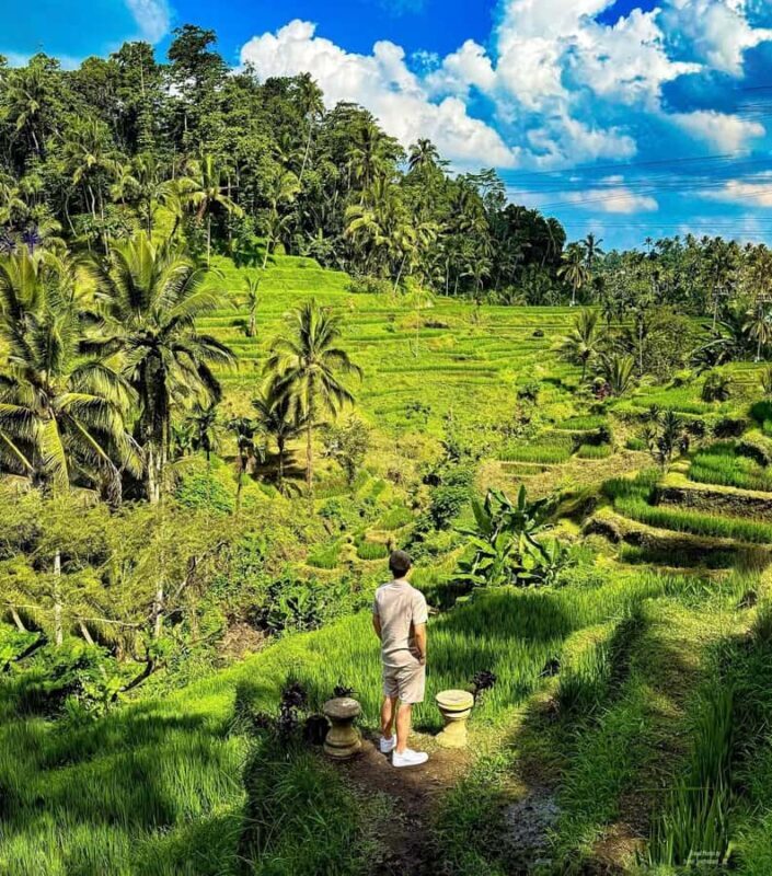 Bali: Kintamani Sunrise Cafe, Waterfalls & Coffee Plantation - FAQs