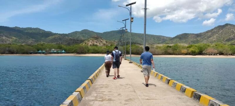 Bali: Komodo Island Guided Day Trip with Lunch and Snacks - Introduction