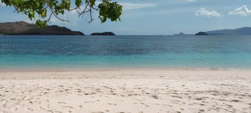 Bali: Komodo Island Guided Day Trip with Lunch and Snacks - Why This Tour Offers Great Value