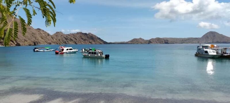 Bali: Komodo Island Guided Day Trip with Lunch and Snacks - Who This Tour Is Best For