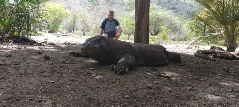 Bali: Komodo Island Guided Day Trip with Lunch and Snacks - Final Thoughts: Who Is This Tour Best For?  