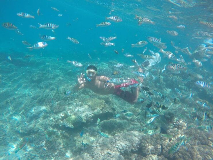 Bali: Labuan Amuk Snorkeling With Lunchbox - Snorkeling at Labuhan Amuk Beach