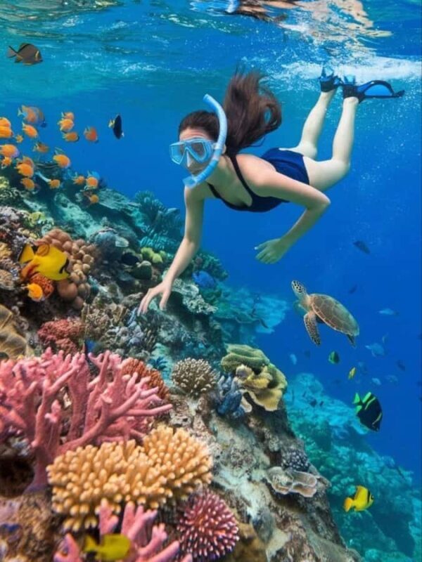 Bali: Labuhan Amuk Snorkeling & Blangsinga Waterfall Tour - A Well-Prepared Break and Lunch