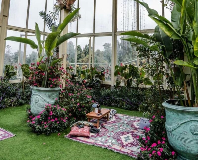 Bali: Lake Beratan Speedboat Tour with Temple Visit - Unpacking the Experience: What to Expect