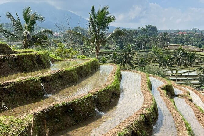 Bali Lake Bratan, Twin Lake, Jatiluwih Terrace, Hidden Waterfall - Good To Know