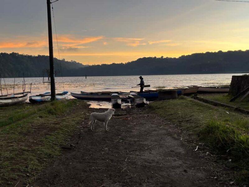 Bali: Lake Tamblingan Sunrise Canoe & Waterfalls Tour - Why This Tour Might Be Perfect for You