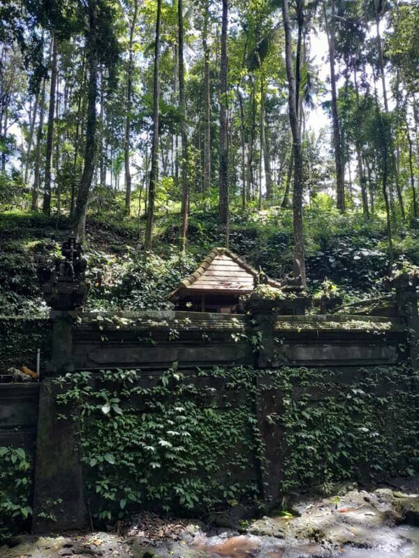 Bali: Legung Luwih Tabanan Village Activities - An In-Depth Look at the Village Experience