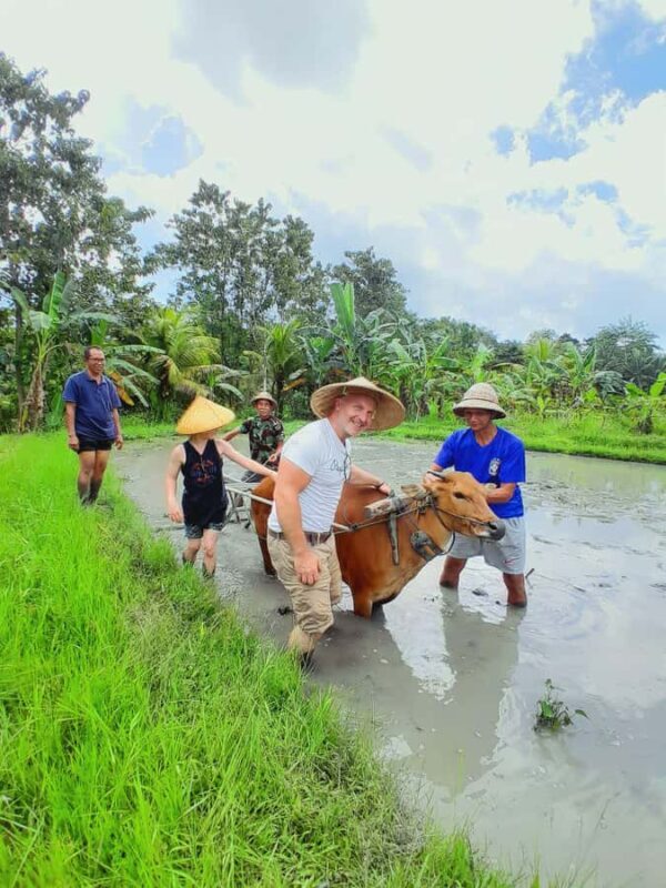 Bali: Legung Luwih Tabanan Village Activities - Analyzing the Value