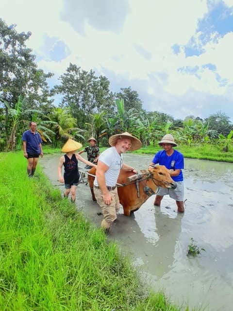 Bali: Legung Luwih Tabanan Village Activities - Transportation Details