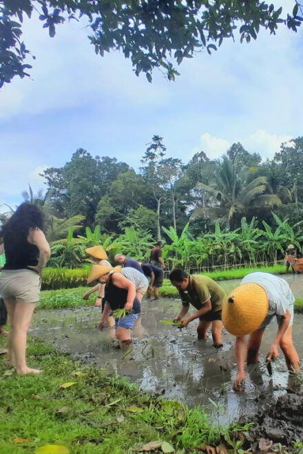 Bali: Legung Luwih Tabanan Village Activities - Cultural Activities Offered