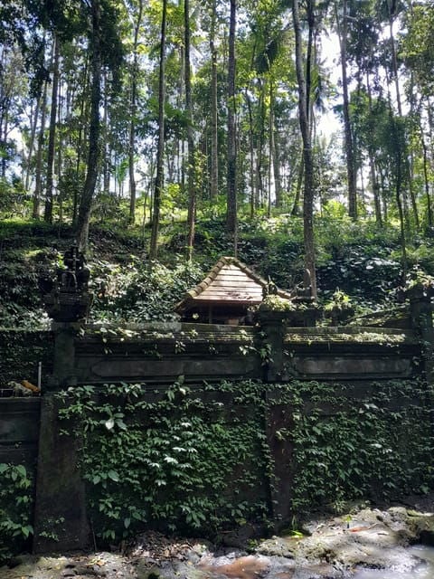 Bali: Legung Luwih Tabanan Village Activities - Culinary Experiences