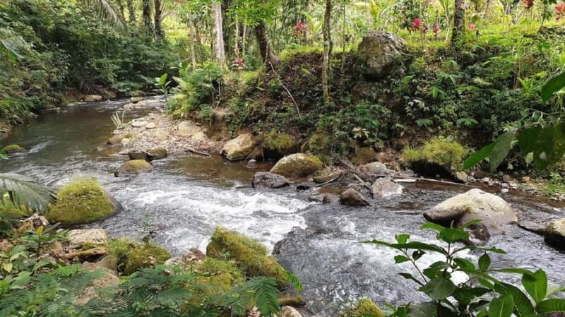 Bali: Leke Leke, Munduk, & Banyumala Waterfalls Private Tour - FAQ